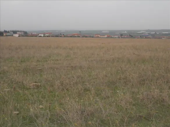 Land In Nea Propontida, Greece