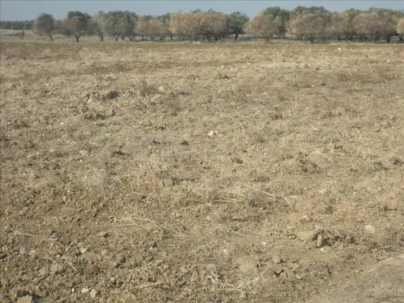 Land In Nea Propontida, Greece