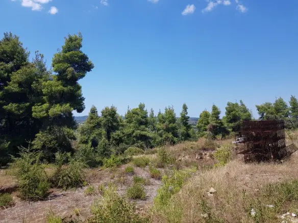 Land In Kassandra, Greece