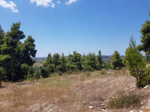 Land In Kassandra, Greece
