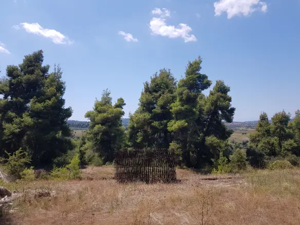 Land In Kassandra, Greece