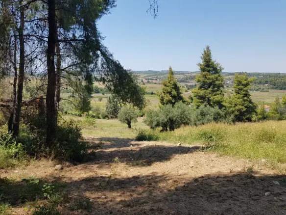 Land In Kassandra, Greece