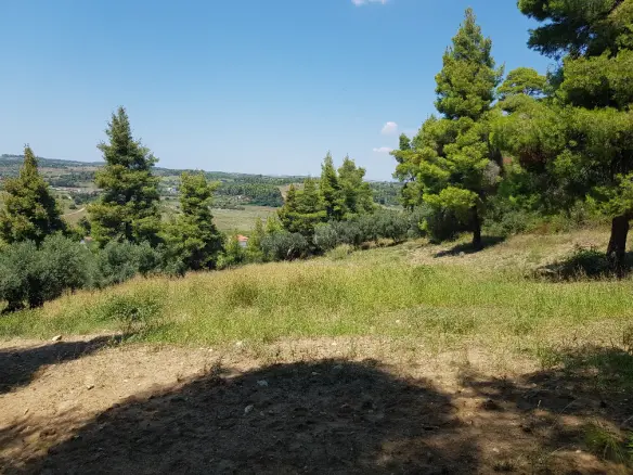 Land In Kassandra, Greece