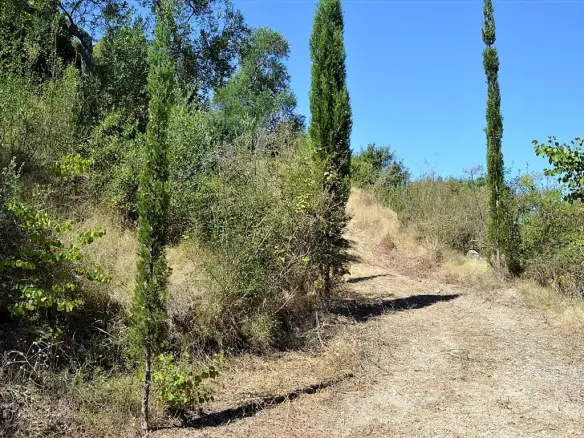 Land In Corfu, Greece