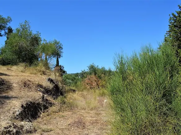Land In Corfu, Greece