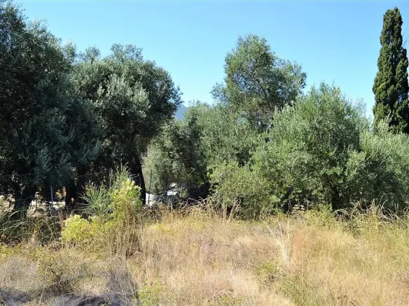 Land In Corfu, Greece