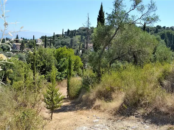 Land In Corfu, Greece