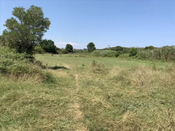 Land In Aristotle, Greece