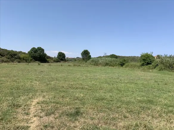 Land In Aristotle, Greece