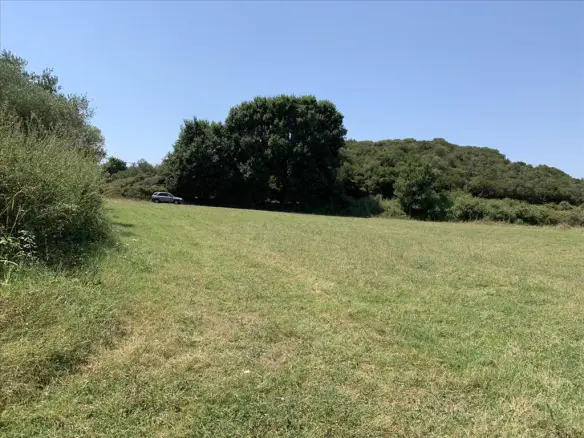 Land In Aristotle, Greece