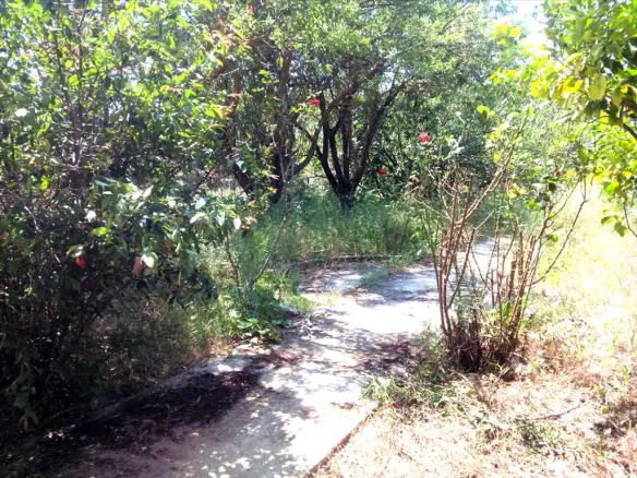 5-bedroom Detached House In Greece (200 M²)