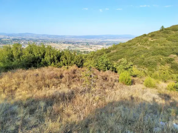 Land In Migdonia, Greece