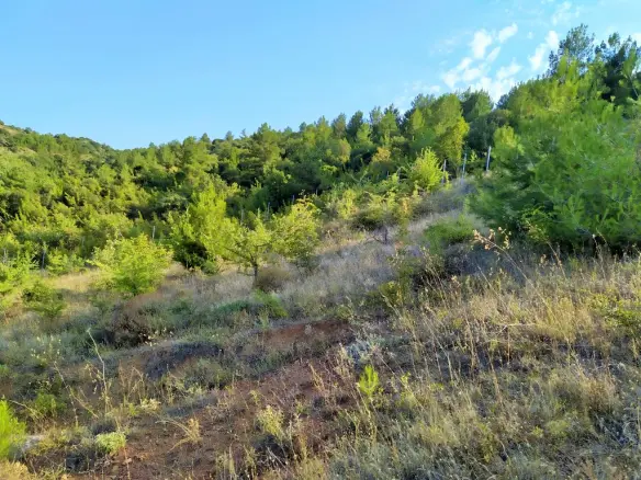 Land In Migdonia, Greece