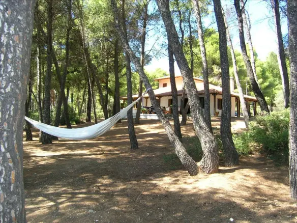 5-bedroom Detached House In Sithonia, Greece (175 M²)