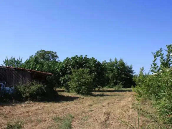 Land In Thasos, Greece