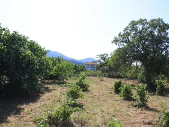 Land In Thasos, Greece