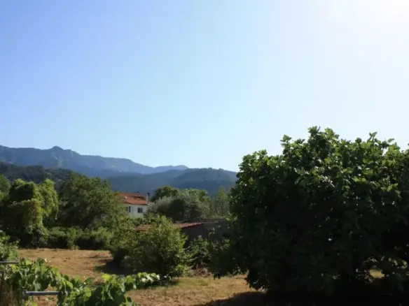 Land In Thasos, Greece