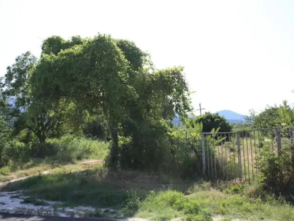 Land In Thasos, Greece