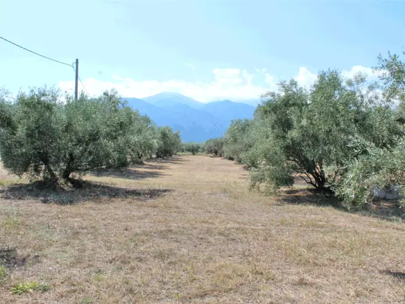 Land In Easts Olimpos, Greece