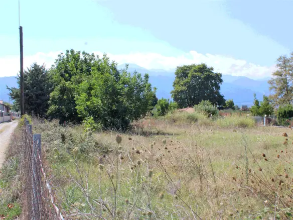 Land In Easts Olimpos, Greece