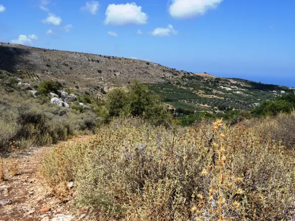 Land In Arkadi, Greece