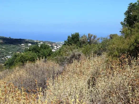 Land In Arkadi, Greece
