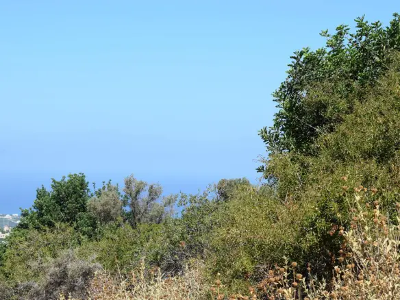 Land In Arkadi, Greece