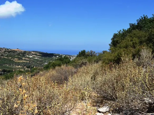 Land In Arkadi, Greece
