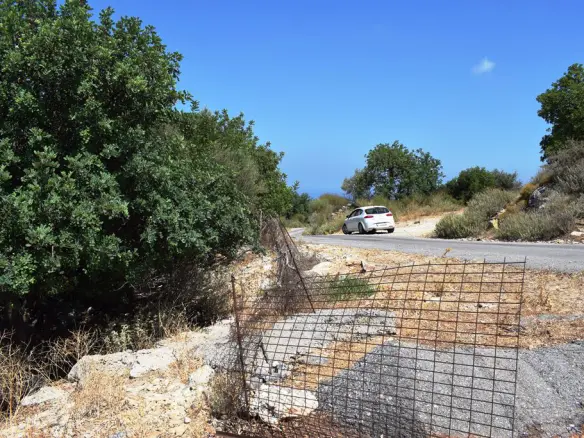 Land In Arkadi, Greece
