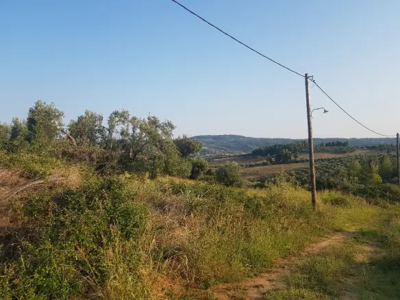 Land In Kassandra, Greece