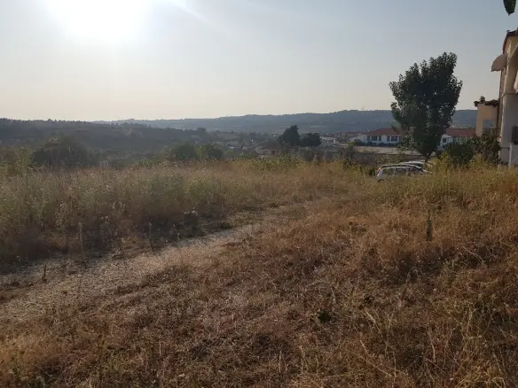 Land In Kassandra, Greece