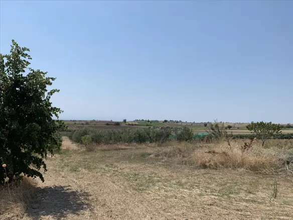 Land In Epanomi, Greece (7.000 M²)