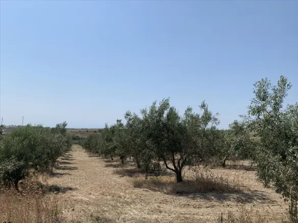 Land In Epanomi, Greece (7.000 M²)