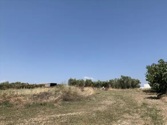 Land In Epanomi, Greece (7.000 M²)