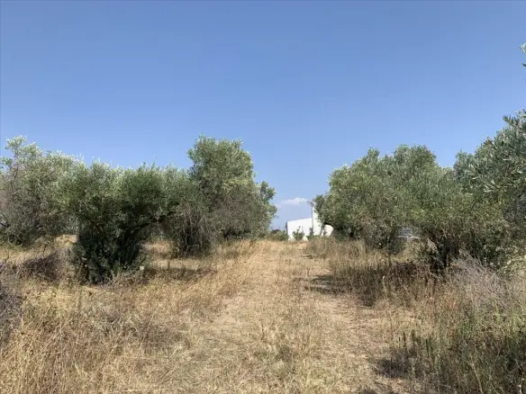 Land In Epanomi, Greece (7.000 M²)