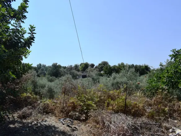 Land In Arkadi, Greece