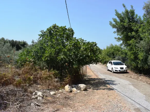 Land In Arkadi, Greece