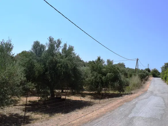 Land In Arkadi, Greece