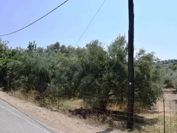 Land In Arkadi, Greece