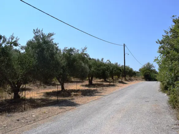 Land In Arkadi, Greece