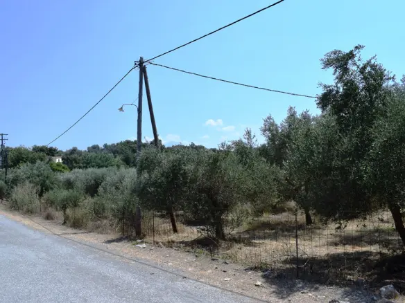Land In Arkadi, Greece