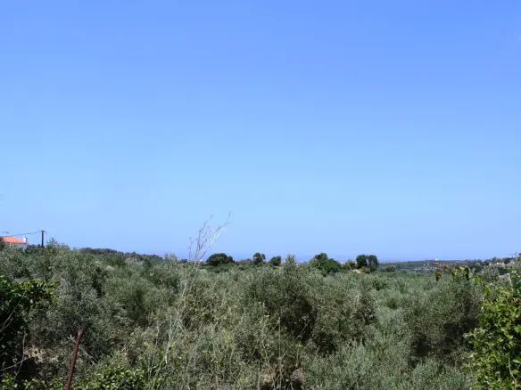 Land In Arkadi, Greece