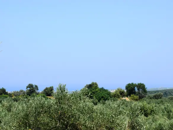 Land In Arkadi, Greece