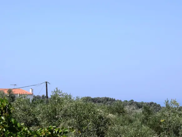 Land In Arkadi, Greece