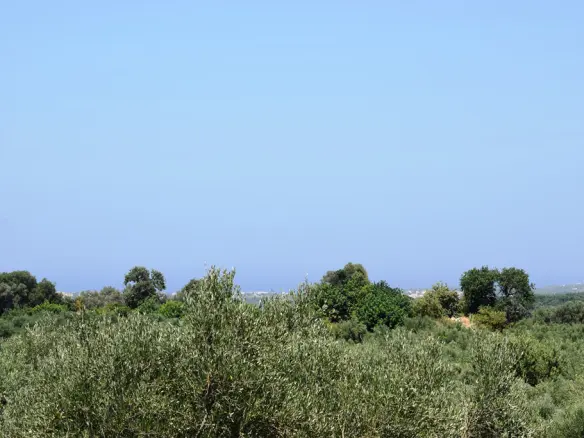 Land In Arkadi, Greece