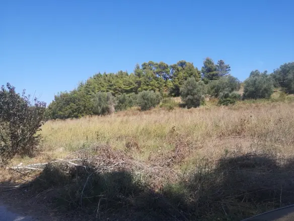Land In Kassandra, Greece