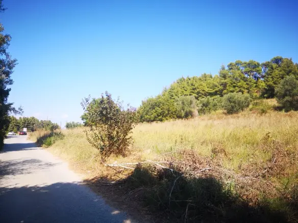 Land In Kassandra, Greece