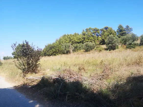 Land In Kassandra, Greece
