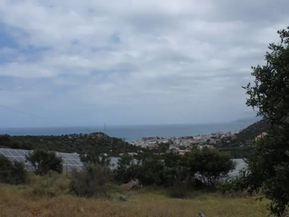 Business In Mallia, Greece (4.000 M²)