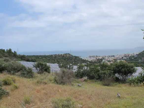 Business In Mallia, Greece (4.000 M²)